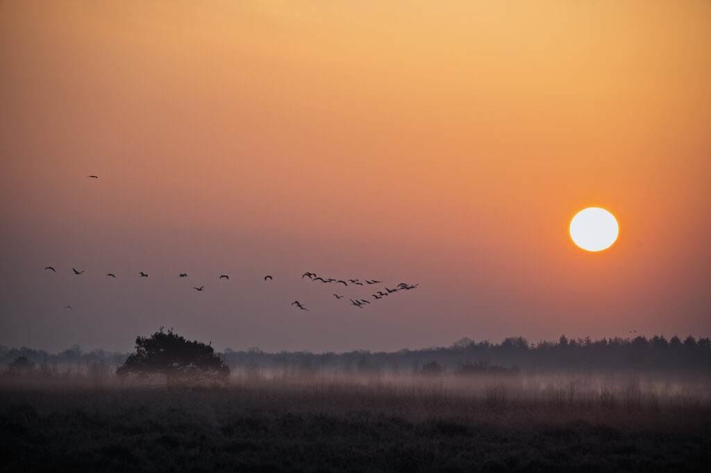Intro #26 – In der Natur – Claudia Bonna