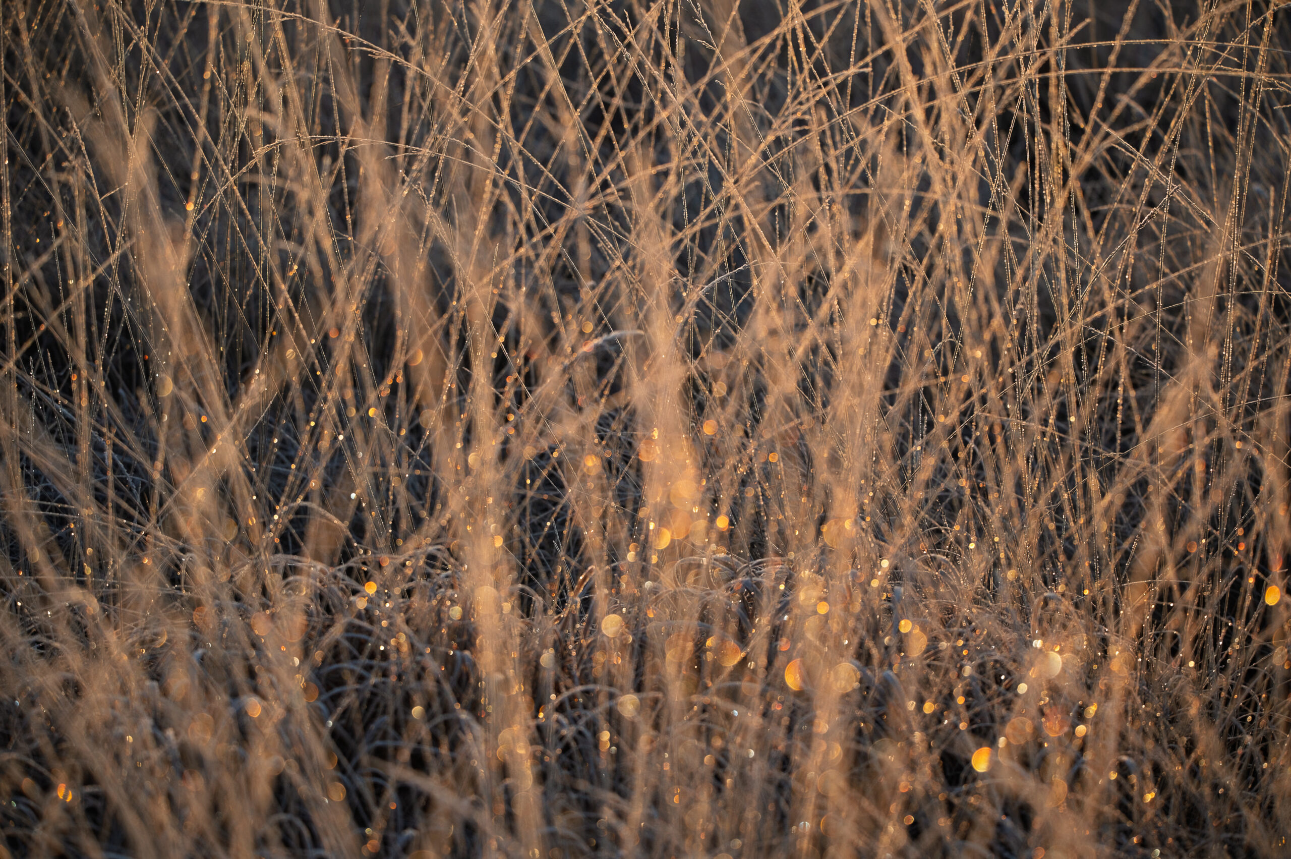 #7 – Ein Blick zum Wegesrand