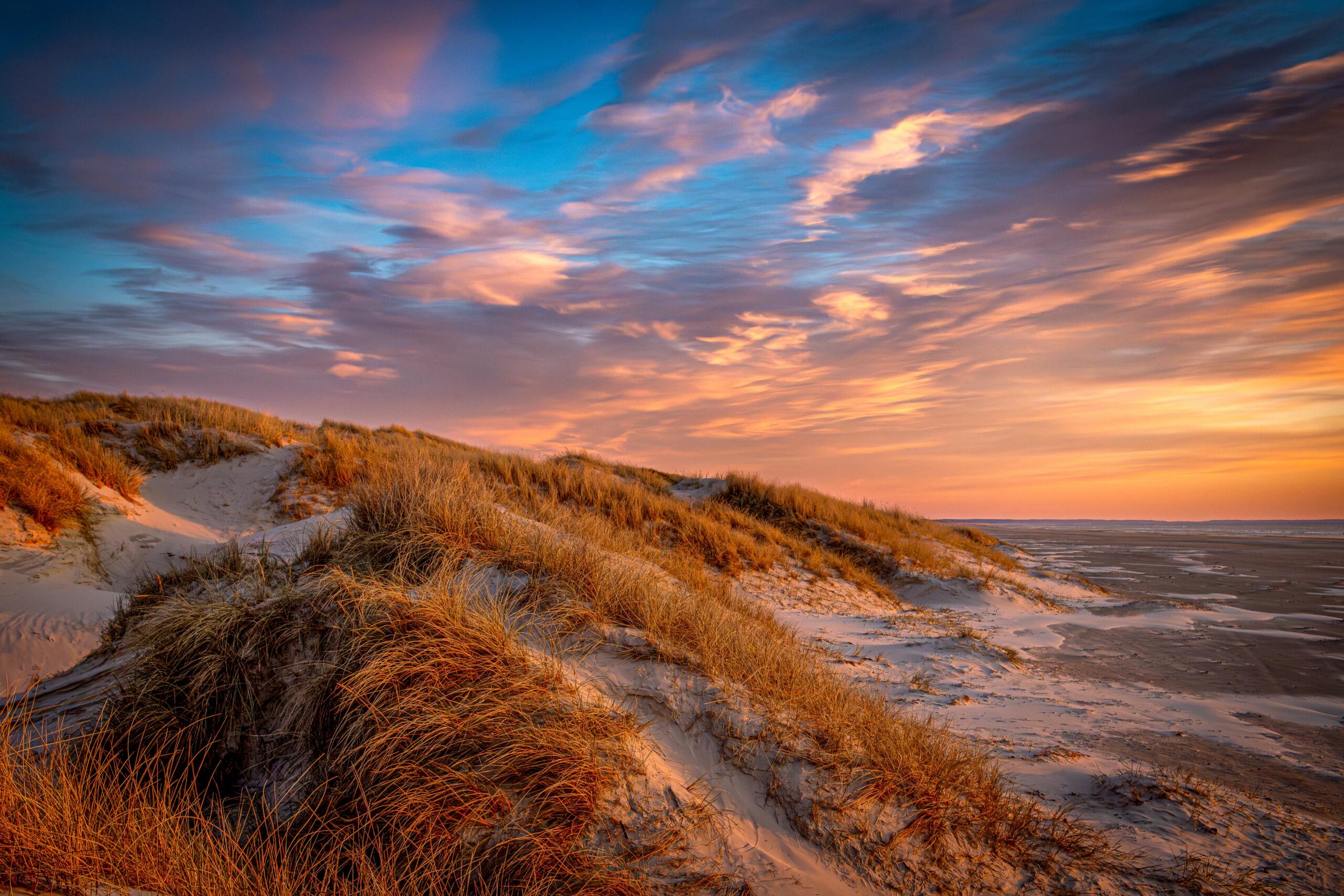 Newsletter Bilderabend #27 – Februar 2026