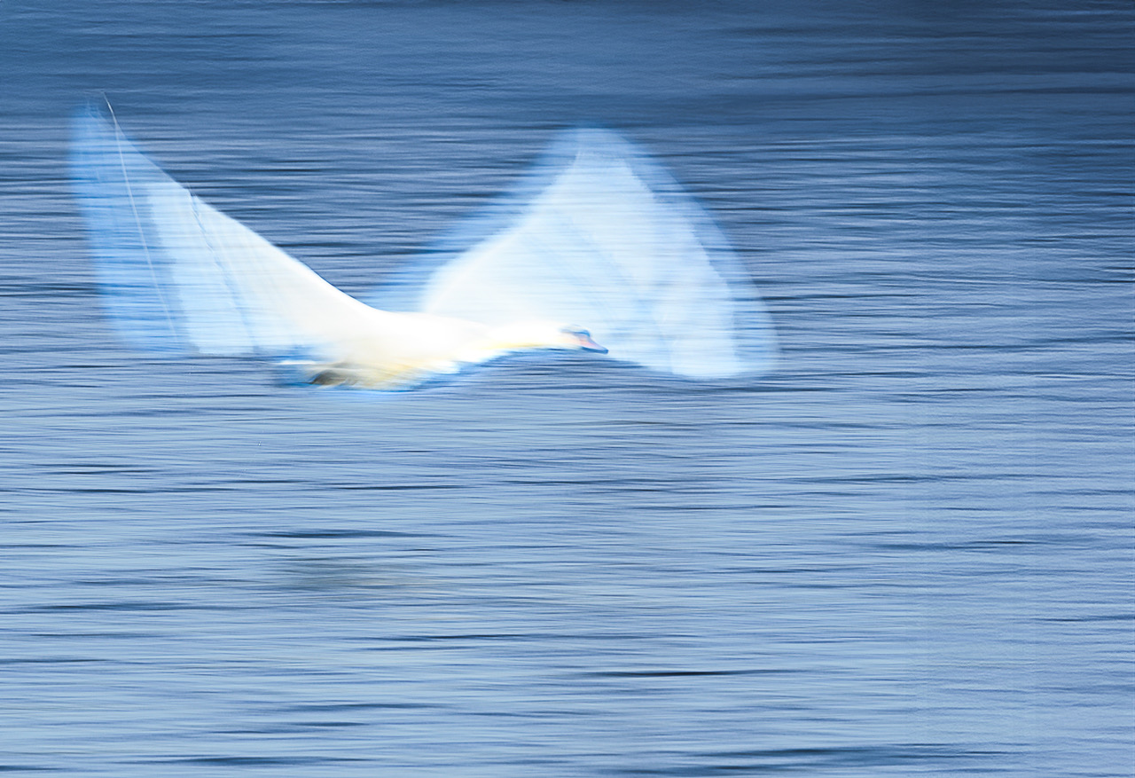 #5 – Kreatives Verwackeln mit Beate Scheffler